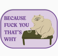 "Because Fuck You That's Why" Cat Vinyl Sticker